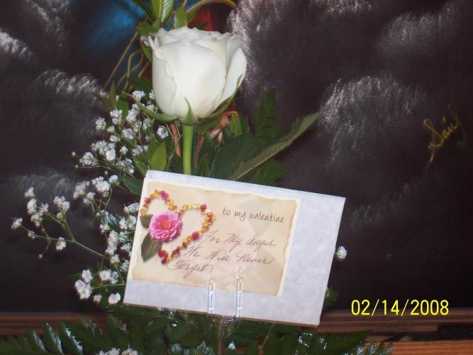 White Rose in memory of Beth